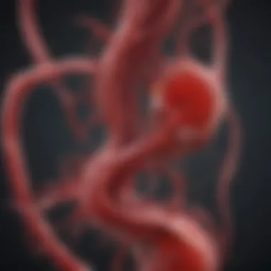 Hepatic Blood Flow and Vascular Architecture Illustration of hepatic blood flow and vascular architecture