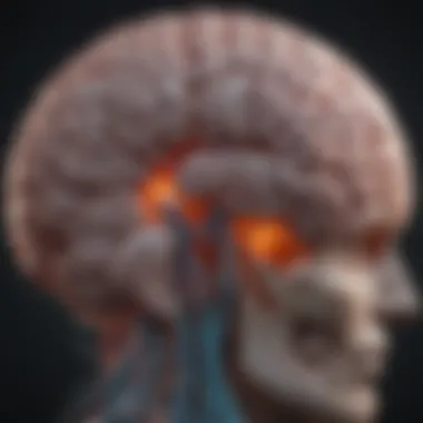 Diagram illustrating brain areas targeted in surgery