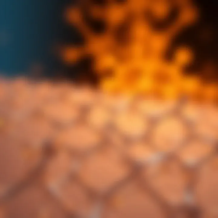 Synthetic Polymers in Innovation Synthetic polymers used in advanced technology