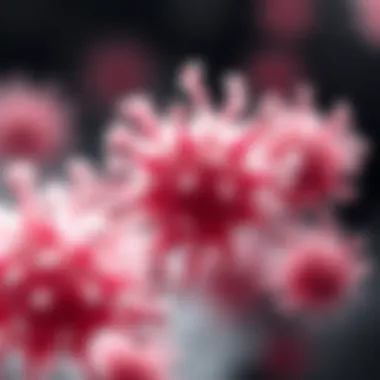 Clinical applications of taxanes in various cancers