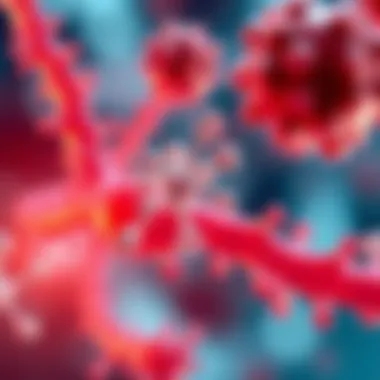 Mechanism of action of taxanes in cancer treatment