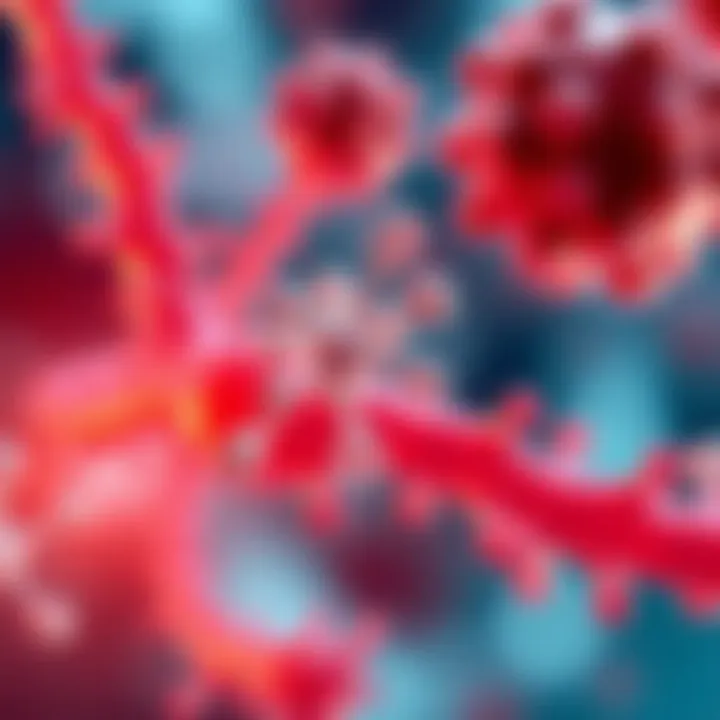 Mechanism of action of taxanes in cancer treatment