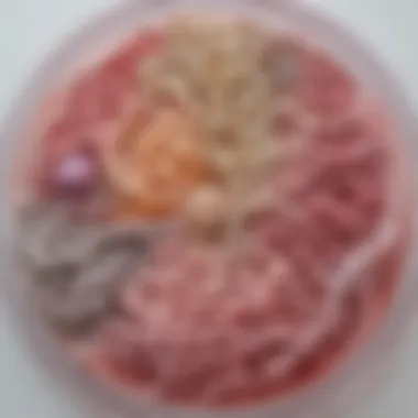 Therapeutic Interventions for Gut Health Diagram illustrating therapeutic approaches targeting gut health.
