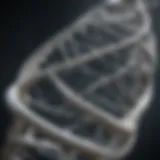 Illustration of the double helix structure of DNA