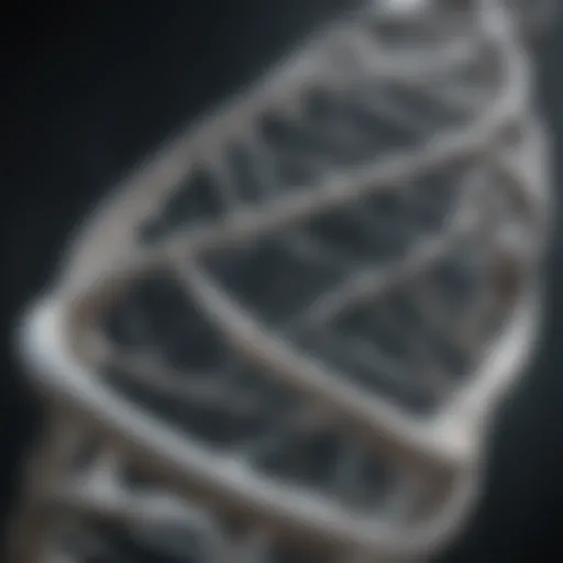 Illustration of the double helix structure of DNA