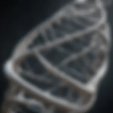 The Iconic Double Helix Design Illustration of the double helix structure of DNA