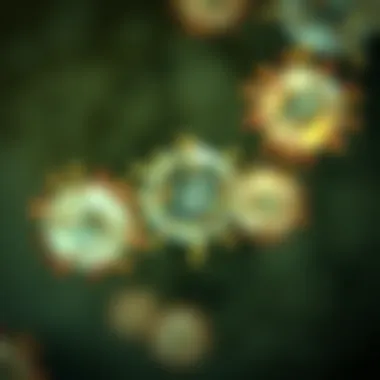 Notable The Importance of HL60 Cell Line in Leukemia Research Notable The Importance of HL60 Cell Line in Leukemia Research