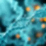 CRISPR technology representation