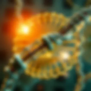 TALENs mechanism illustration