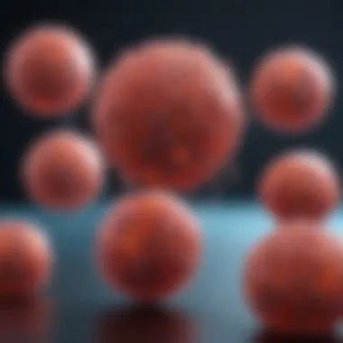 Beta Cells and Insulin Synthesis Diagram explaining the role of beta cells in insulin synthesis