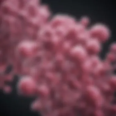 Biochemical Structure of the PNK Enzyme Biochemical structure of the PNK enzyme