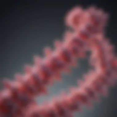 Role of PNK in RNA Metabolism Role of PNK in RNA metabolism