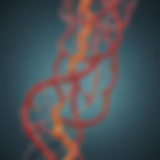 Illustration depicting the biochemical pathway of creatinine metabolism