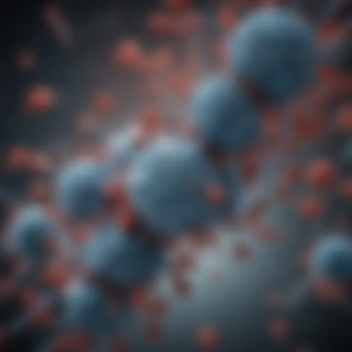 Notable The Role and Mechanism of Anti-CD28 Antibodies in Immunotherapy