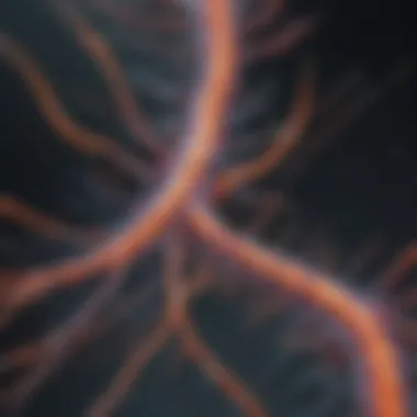 Diagram showcasing beta actin's involvement in signaling pathways