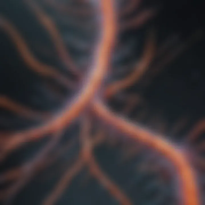 Diagram showcasing beta actin's involvement in signaling pathways