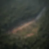 Satellite view of deforestation effects on climate