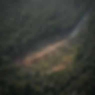 Satellite view of deforestation effects on climate