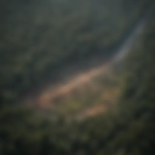 Satellite view of deforestation effects on climate