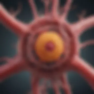 Structural diagram of thrombospondin highlighting its multidomain architecture.