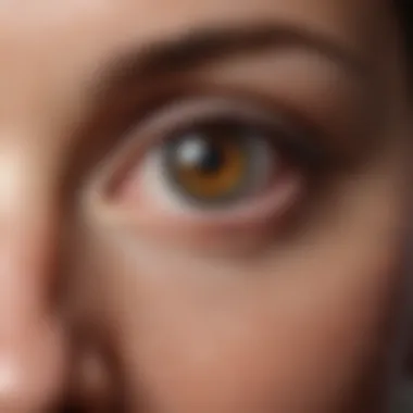 Risk Factors of Dry AMD Infographic on risk factors associated with dry macular degeneration