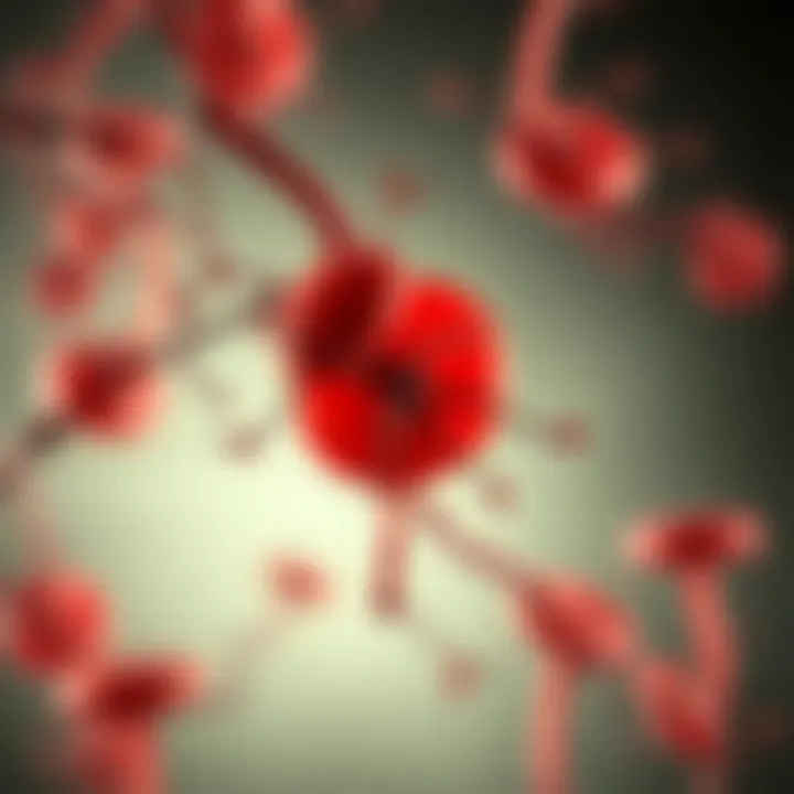 Treatment strategies for myelofibrosis and polycythemia vera