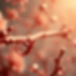 Understanding Abnormal Creatinine Levels: Implications and Insights Introduction
