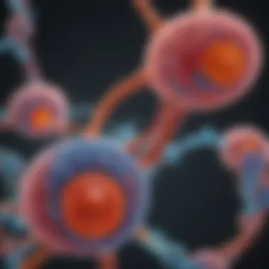 Metabolism Pathways and Drug Interaction Diagram of Metabolism Pathways