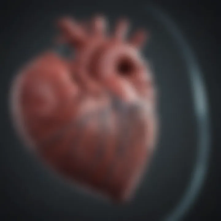 Graph showing atrial fibrillation heart rhythm