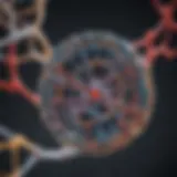 Molecular structure of ATP Sigma