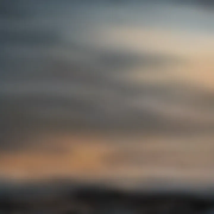 A flock of birds in flight during migration across a scenic landscape