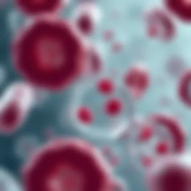 Types of Blood Cells from Stem Cells Visual representation of blood cell types derived from stem cells