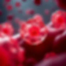 Illustration of blood stem cell differentiation