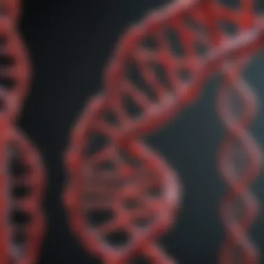 The Structure of DNA and Its Role in Blood Type DNA double helix structure
