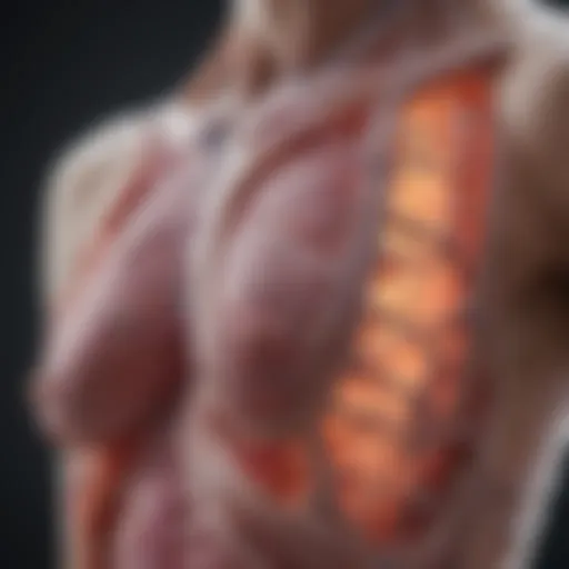 Diagram illustrating the pathways of breast cancer metastasis to the spine