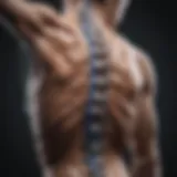 Understanding C7 Incomplete Spinal Cord Injury Introduction