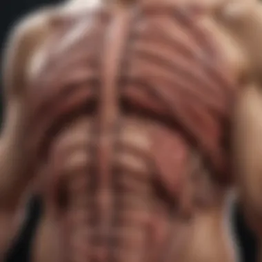 Types of Cancers Affecting Rib Structures A visual representation of the types of cancers affecting rib structures.