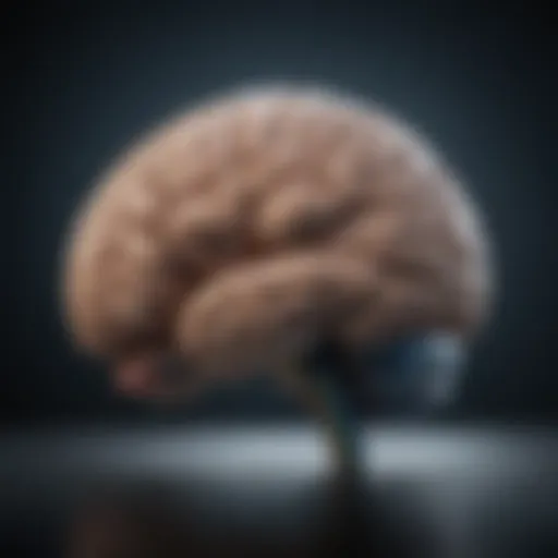 Visual representation of cognitive brain functions