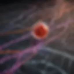 Illustration depicting the transmission routes of hepatitis A