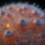 Microscopic view of DCIS cellular structure