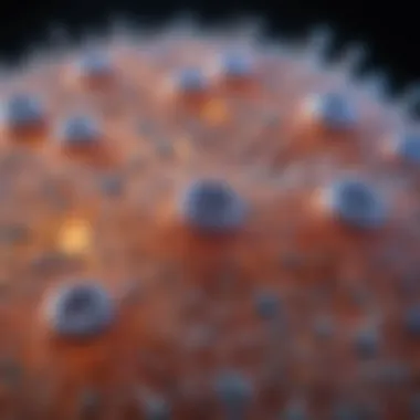 Microscopic Analysis of DCIS Microscopic view of DCIS cellular structure