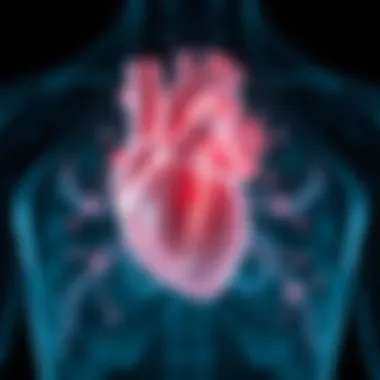 Anatomy and Function of the Left Ventricle Anatomy of the left ventricle highlighting dilation