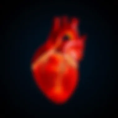 Management Strategies for Cardiac Health Treatment options for managing dilated left ventricle