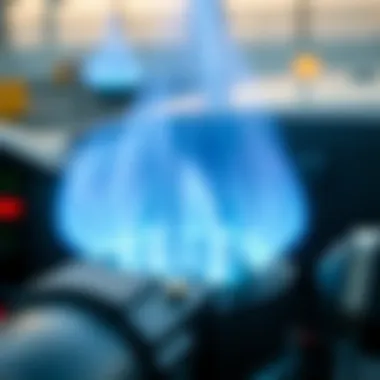 Notable Understanding Domestic Gas Usage: Applications and Implications