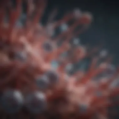 Visual representation of diseases associated with dsDNA antibodies