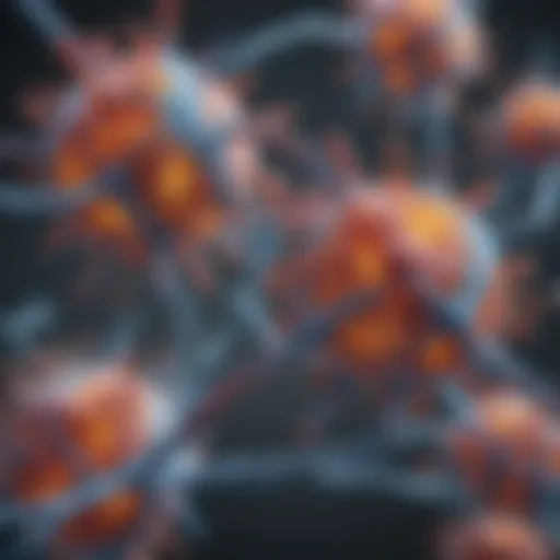 Illustration of dsDNA antibodies structure