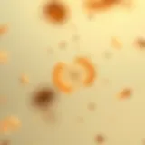 Escherichia coli bacterium under a microscope