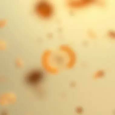 Escherichia coli bacterium under a microscope