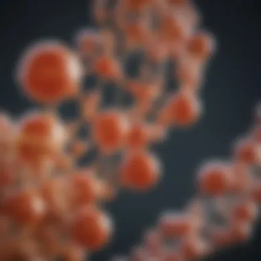 Amino Acids in Enzyme Structure Visual representation of amino acids forming enzyme structure