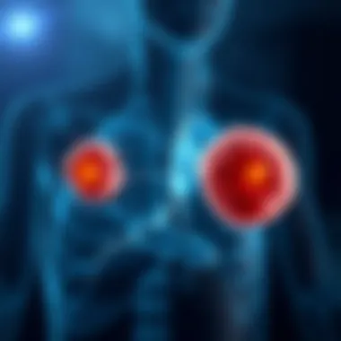 Distinguishing Giant Cell Granuloma from Cancerous Growths Diagram illustrating the differences between giant cell granuloma and cancerous lesions